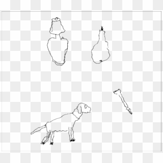 -copying A Drawing Of A Lamp, A Pear, A Dog, And A - Sketch, HD Png Download