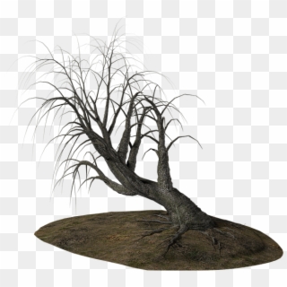 Tree, Dead Tree, Winter, Road, Branches, Dead, Nature - Arbol Muerto Png, Transparent Png
