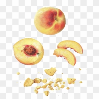 Sliced Peaches Png Image - Nectarine, Transparent Png