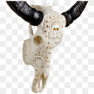 Carved Buffalo Skull - Horn, HD Png Download