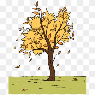 680 X 678 7 - Draw An Autumn Tree, HD Png Download