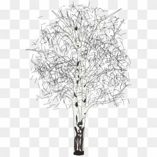 This Free Icons Png Design Of Leafless Birch, Transparent Png