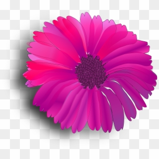 Flower Pink Fuchsia - Pink Flower Clip Art, HD Png Download