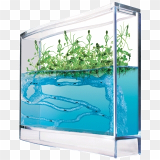 If You Were Into Science At All When You Were A Kid - Pet Ant Farm, HD Png Download