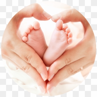 Basic Family Course - Baby Hand, HD Png Download