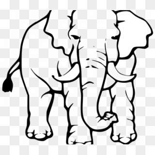 Clip Freeuse Black And White Drawing At Getdrawings - Elephant Black And White Drawing, HD Png Download