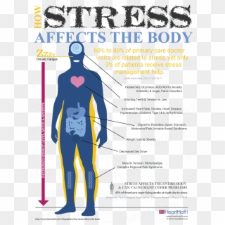 Stress Affects The Body, HD Png Download