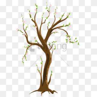 Free Png Spring Tree Png Png Image With Transparent - Tree In Spring Clipart, Png Download