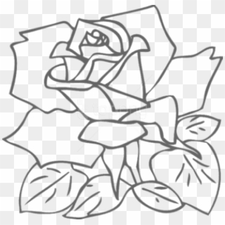 Free Png Download Png Rose Outline S Clipart Png Photo - White Rose Outline Png, Transparent Png