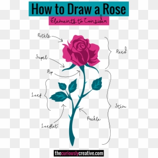 The Ultimate List Of Resources And Tutorials For How - Rose Drawing With Acrylic, HD Png Download