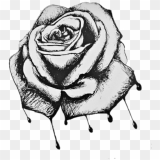 Rose Roses Draw Drawing Blackandwhite - Bleeding Roses Drawing, HD Png Download