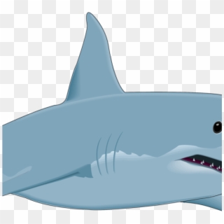 Free Shark Clipart Shark Clipart Shark Fish Clipart - Great White Shark Clip Art, HD Png Download