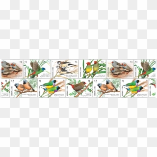 Australian Bird Stamps, HD Png Download