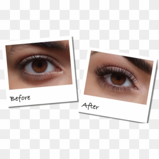 Book An Appointment Today For Your Lash Extensions - Eyelash Extensions, HD Png Download