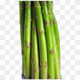 Asparagus Png Image - Bamboo, Transparent Png