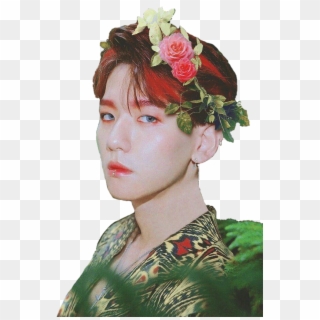 Transparent Png