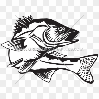 Banner Royalty Free Bass Fishing Clipart - Black And White Walleye, HD Png Download