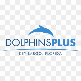 Dolphins Plus - Hulu, HD Png Download