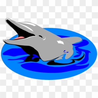 Dolphins Images Free - Dolphin In Water Clipart, HD Png Download