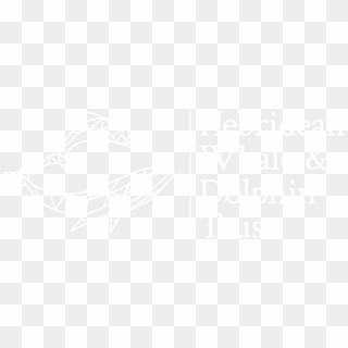 White Plan, HD Png Download