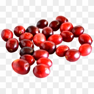 Cranberry, HD Png Download