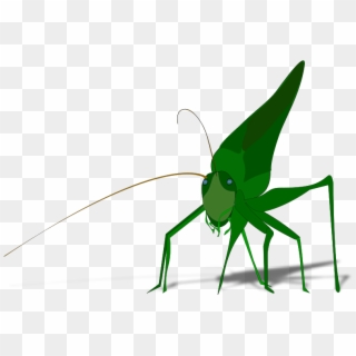 Grasshopper With Shadow 001 - Grasshopper Clipart, HD Png Download