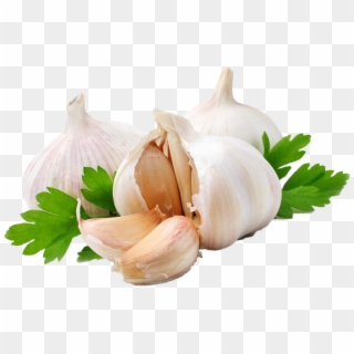 Garlic Png Image - Garlic Png, Transparent Png