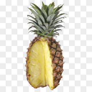 Cut Pineapple - Pineapple Png Pineapple Transparent, Png Download