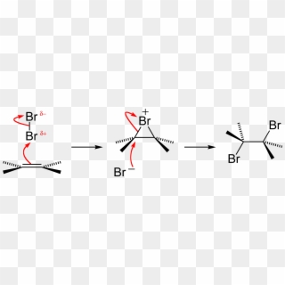 However, Because Some Alkenes Do Not React With Bromine, - Bromine, HD Png Download
