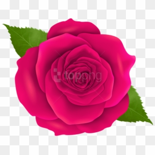 Free Png Pink Rose Png Images Transparent - Transparent Png Rose Flower, Png Download