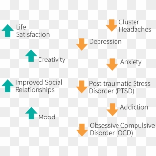 Medical Benefits Of Psychedelic Drugs Related To Mood, - Parallel, HD Png Download