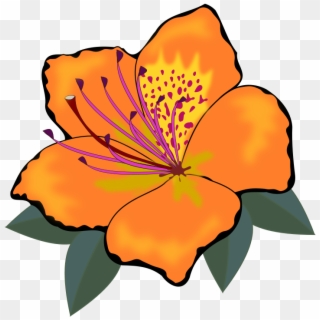 Clip Art, Flor, Flora, Flores, Flower, Nature, Plant - Cross Stitch Flower Clipart, HD Png Download