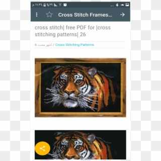 Tiger Striped PDF Free Download