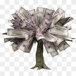 How To Grow A Money Tree - Money Tree Transparent, HD Png Download