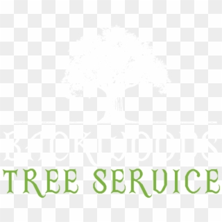 Backwoods Tree Service Logo - Tree, HD Png Download