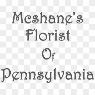 Mcshane's Florist Of Pennsylvania - Beauty, HD Png Download