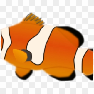 Clownfish Clipart Ocean Fish - Clown Fish No Background, HD Png Download