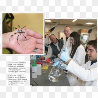 In Addition To The Transgenic Ruminants, The Usu Professor - Usu Spider Silk Lab, HD Png Download