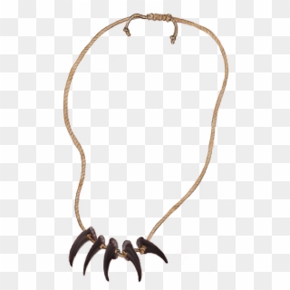 Bear Claw Necklace - Revenant Bear Claw Necklace, HD Png Download