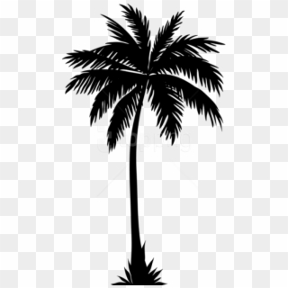 Free Png Palm Tree Silhouette Png - Palm Trees Silhouette Png, Transparent Png