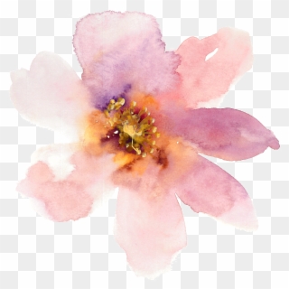 Banner Freeuse Stock Transparent Watercolours Pale - Pale Pink Flower Watercolour, HD Png Download