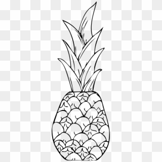 Pineapple Clip Art Fourcoloringpages - Pine Apple Clipart Black And White, HD Png Download
