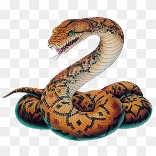 Snake Png Image Arts - Python Snake Drawing, Transparent Png