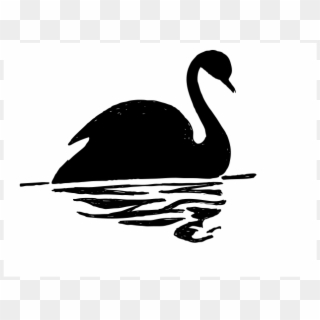 Black Swan Bird Drawing, HD Png Download