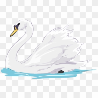 Swan Swimming - 7 Swans Swimming Png, Transparent Png