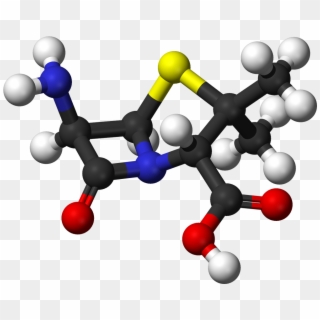 6 Aminopenicillanic Ac - Penicillin Png, Transparent Png
