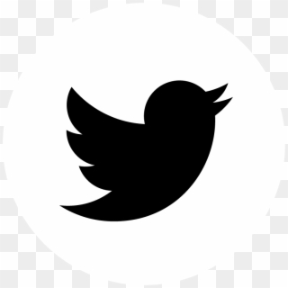 Logo Twitter Nero - Vector Twitter Icon Svg, HD Png Download