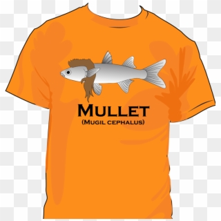 Mullet Fish Wearing A Mullet Shirt, HD Png Download