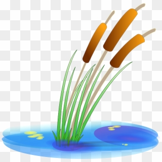 Download Hd Water, Plants, Reed, Cartoon, Duck, Free,, HD Png Download