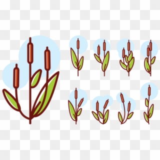 Cattails Icons Vector - Cattail Icon, HD Png Download
